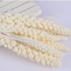 NWT 15-17” Dried Millet Stems, 20-Piece Bulk Floral Arrangement, Beige